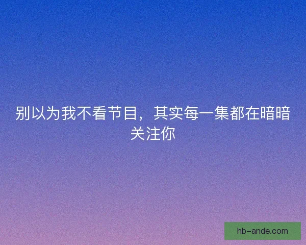 别以为我不看节目，其实每一集都在暗暗关注你